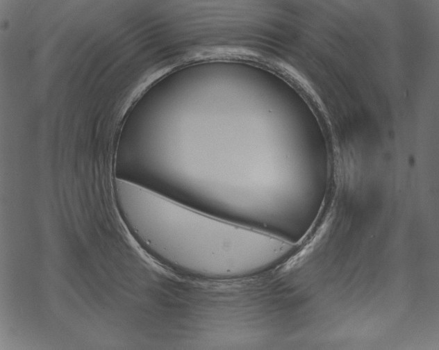 X0000070181041200605260935