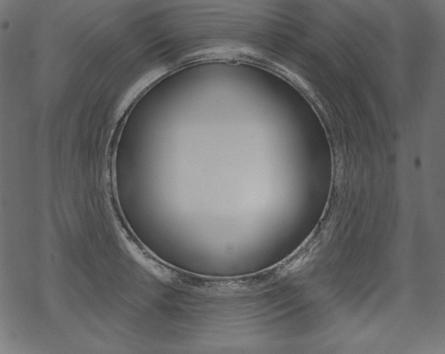 X0000070181042200605260935