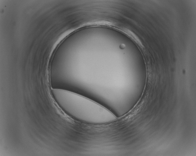X0000070181044200605260935