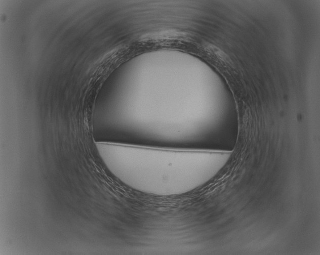 X0000070181062200605260934