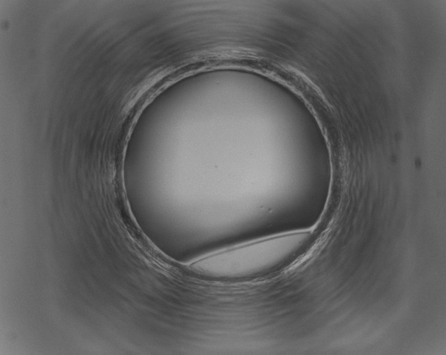 X0000070181065200605260934