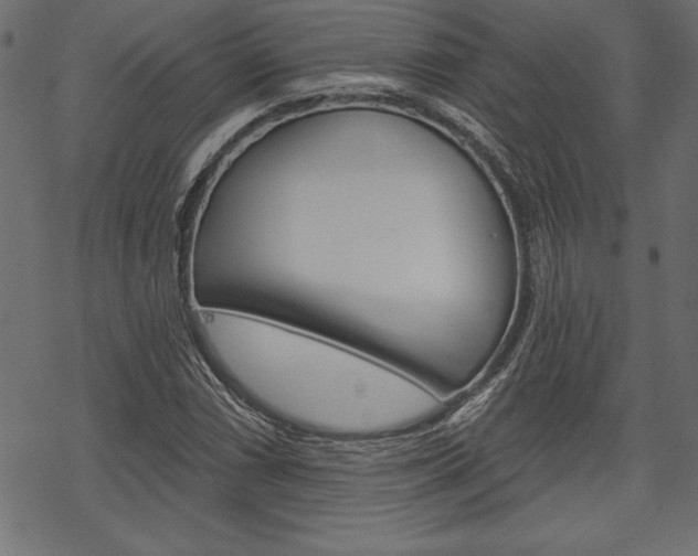 X0000070181066200605260934