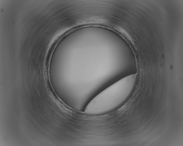 X0000070181072200605260934