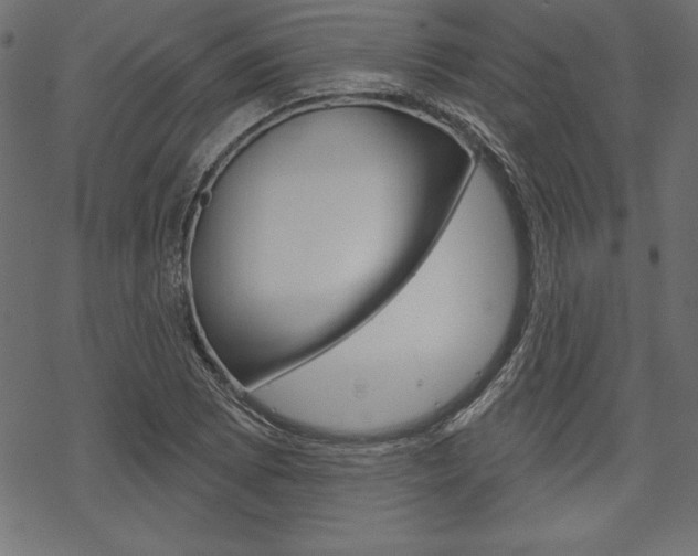 X0000070181073200605260934