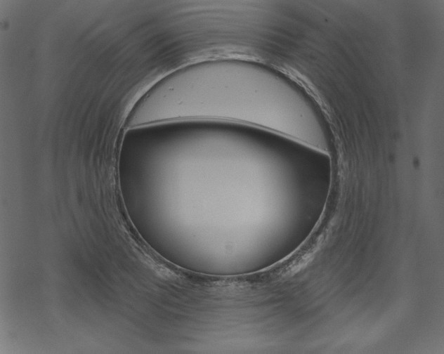 X0000070181081200605260934