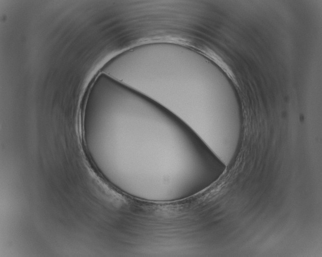 X0000070181084200605260934