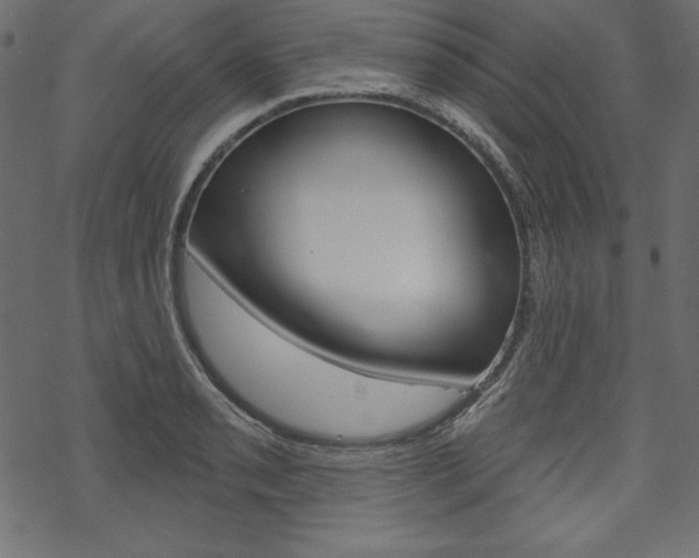 X0000070181085200605260934