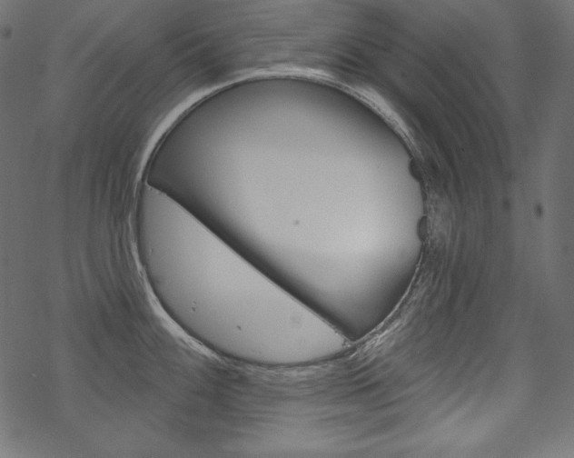 X0000070181100200605260934