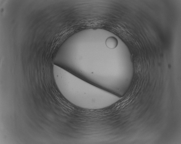 X0000070181106200605260933