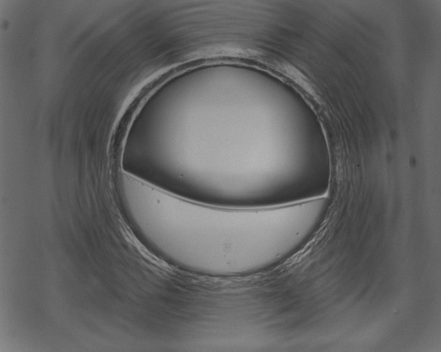 X0000070181116200605260933
