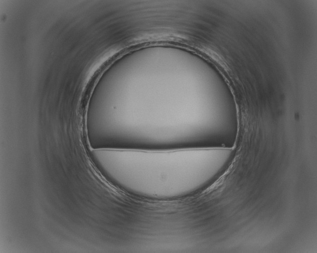 X0000070181119200605260933