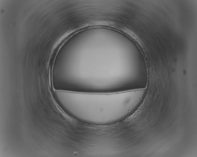 X0000070181127200605260933