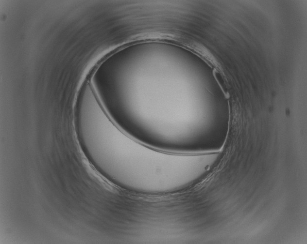 X0000070181132200605260933