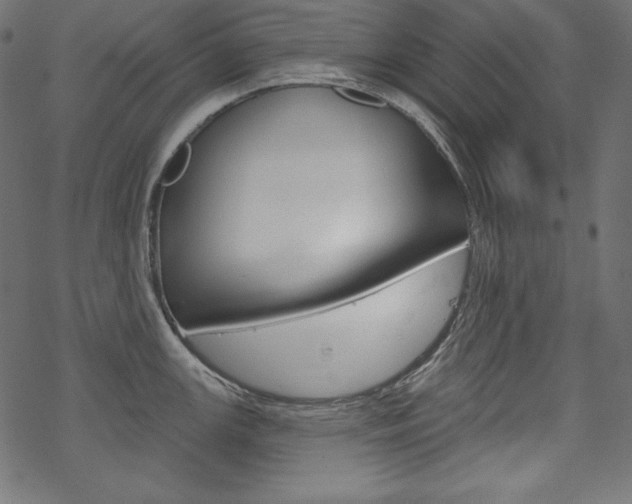 X0000070181147200605260933