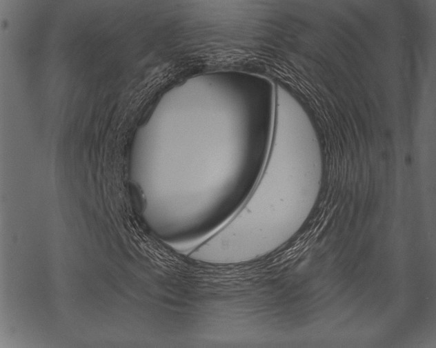 X0000070181153200605260933