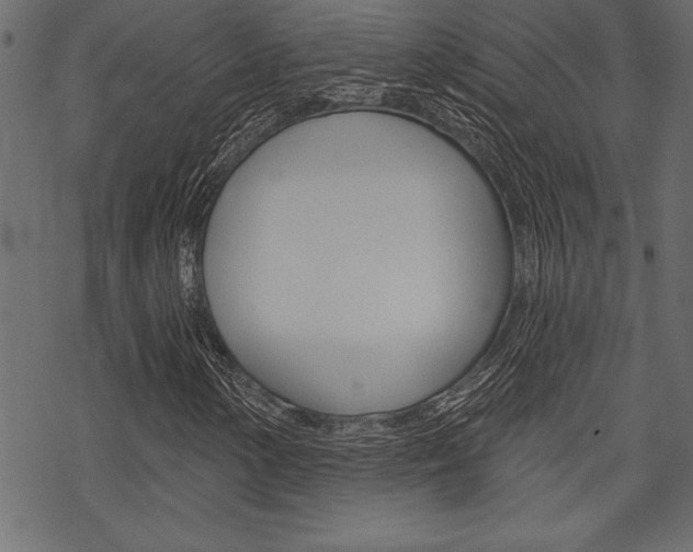 X0000070181154200605260933