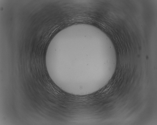 X0000070181155200605260933