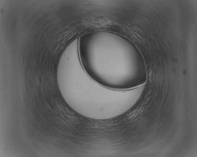 X0000070181156200605260933