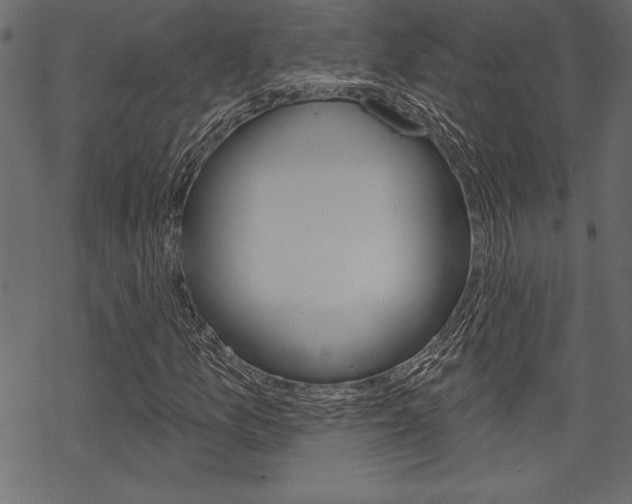 X0000070181157200605260933