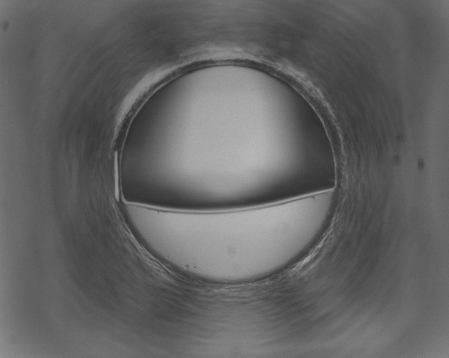 X0000070181175200605260932
