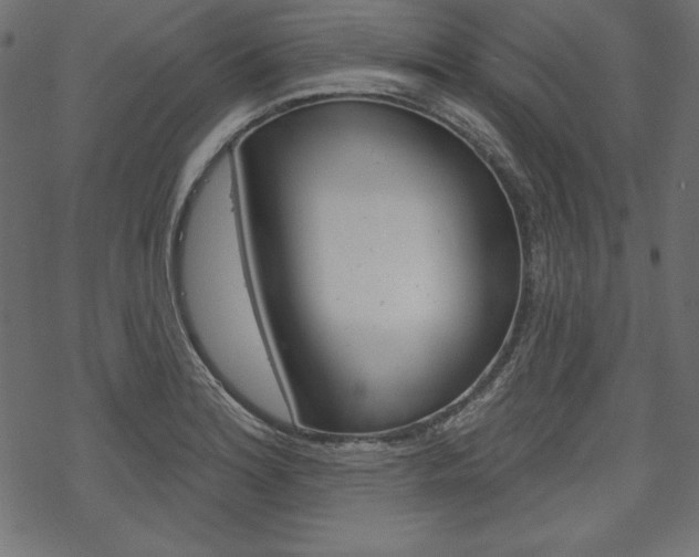 X0000070181180200605260932