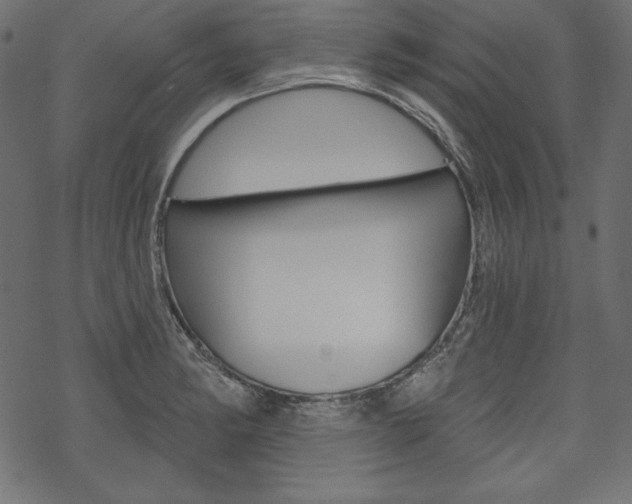 X0000070181182200605260932