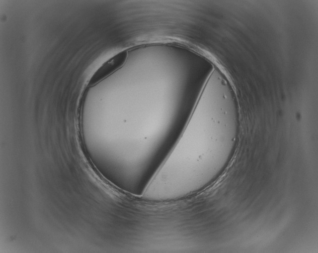 X0000070181187200605260932