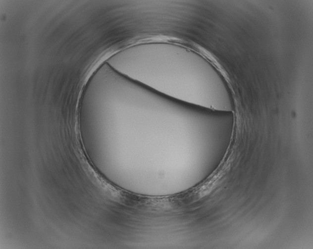 X0000070181194200605260932