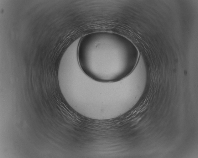 X0000070181202200605260931