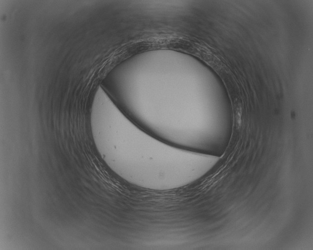 X0000070181204200605260931