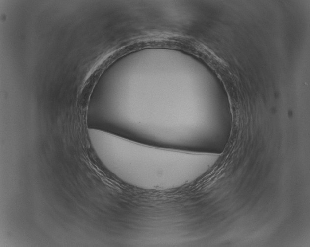 X0000070181208200605260931
