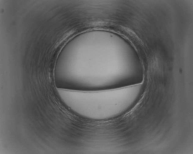 X0000070181209200605260931