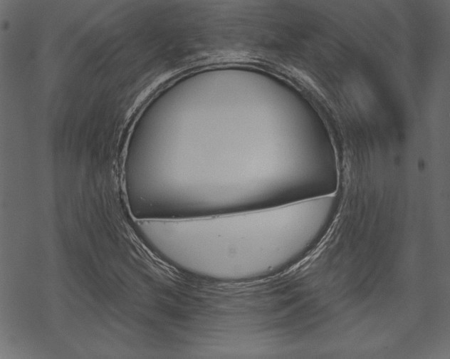 X0000070181212200605260931