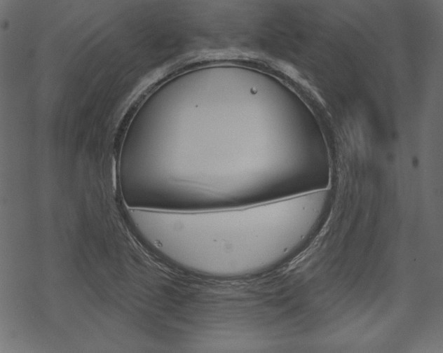 X0000070181221200605260931
