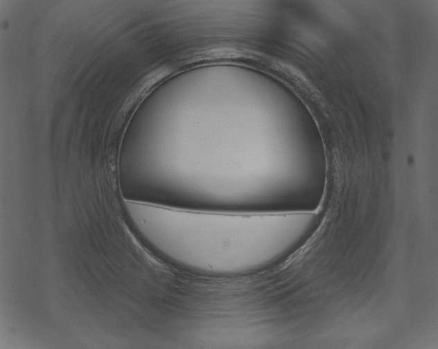 X0000070181225200605260932