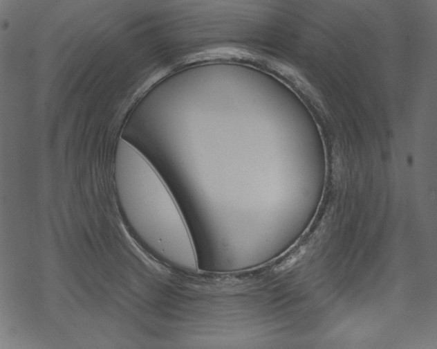X0000070181233200605260932