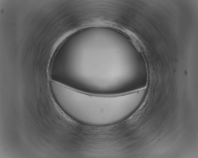 X0000070181238200605260932