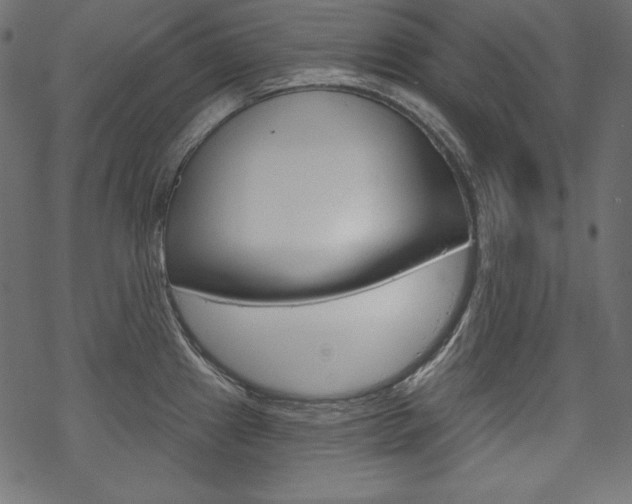 X0000070181241200605260932