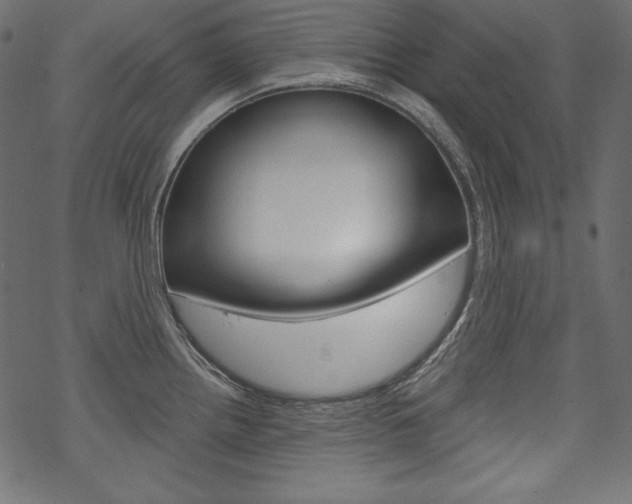 X0000070181242200605260932