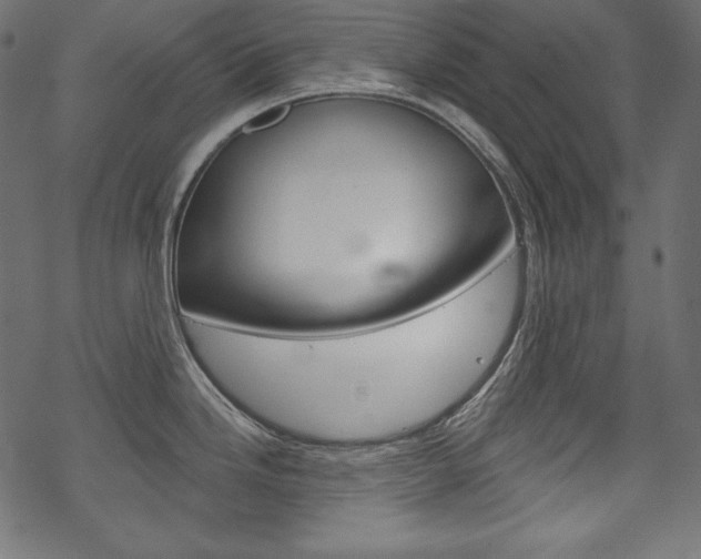 X0000070181246200605260932