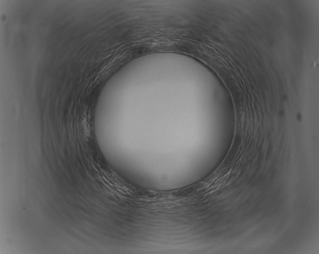 X0000070181250200605260931