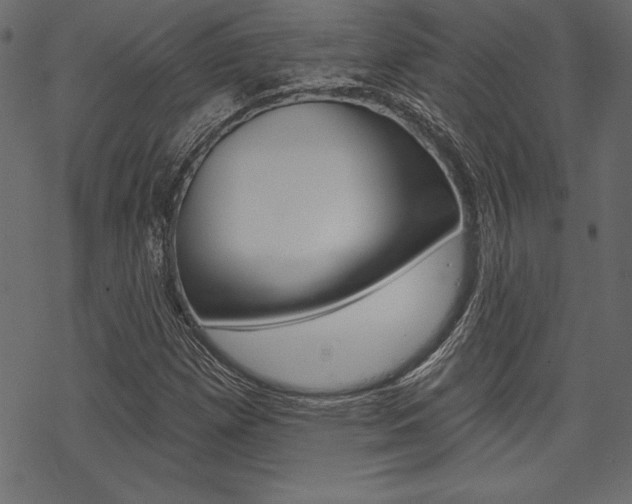 X0000070181257200605260931