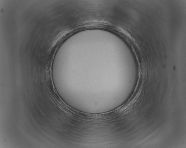 X0000070181259200605260931