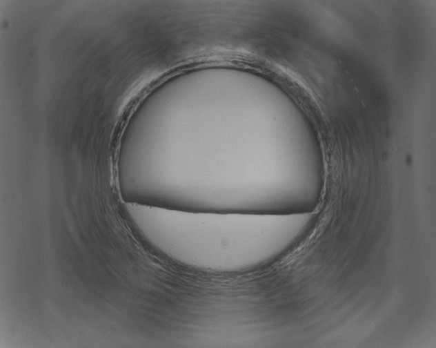 X0000070181267200605260931