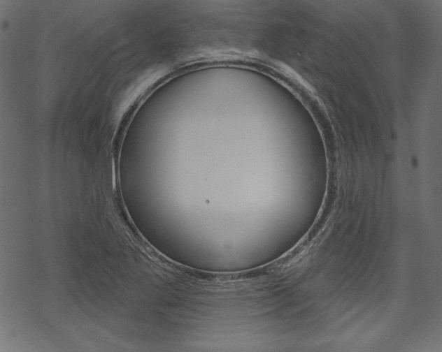 X0000070181269200605260931