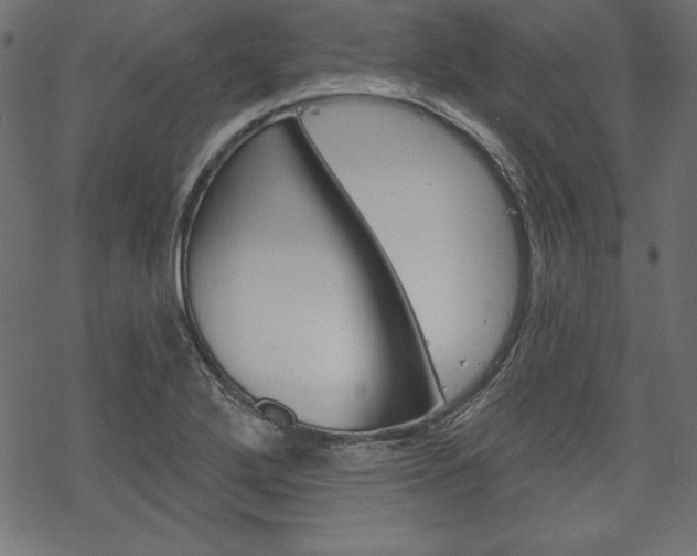 X0000070181272200605260931