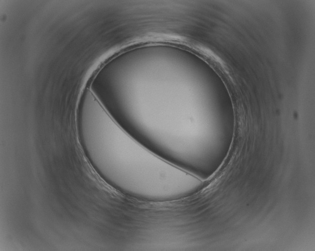 X0000070181280200605260931