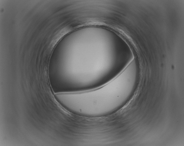X0000070181281200605260931