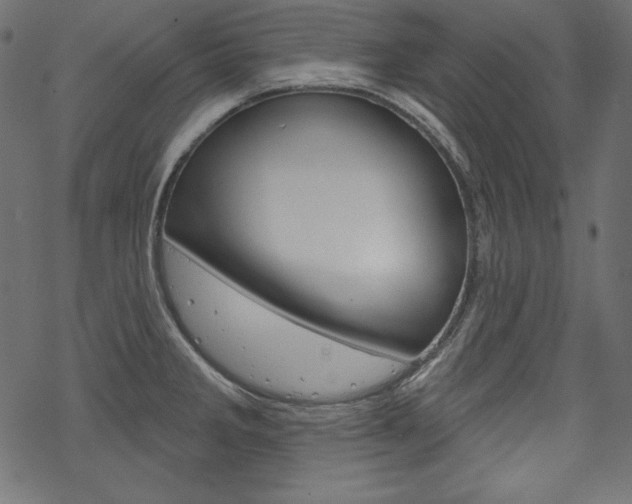 X0000070181285200605260931