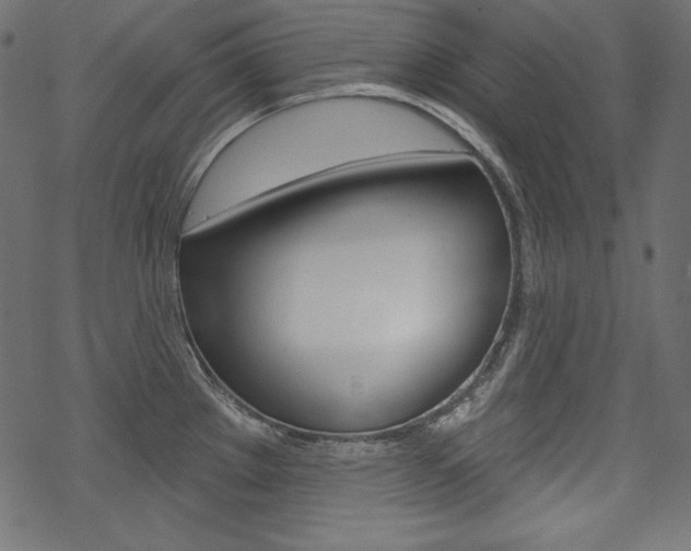 X0000070181289200605260931